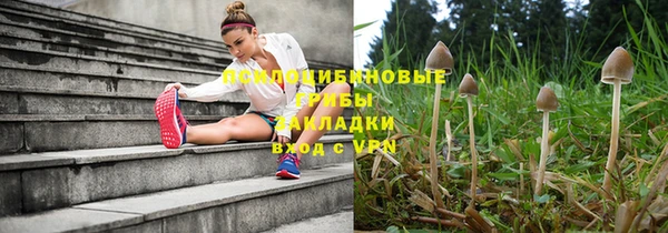 шишки Михайловка