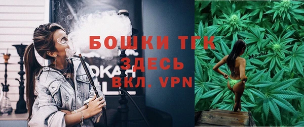 шишки Михайловка