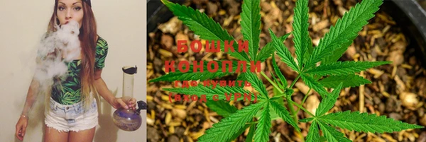 прущая мука Михайловск