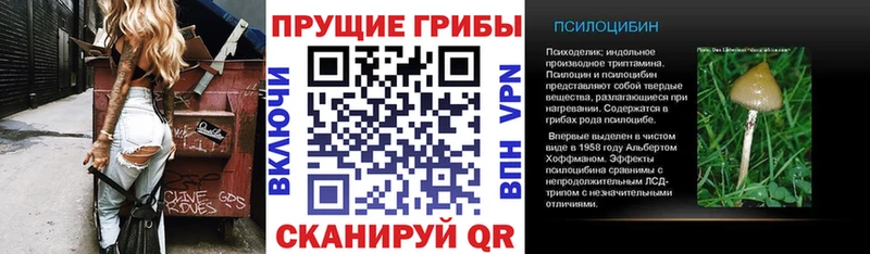 Псилоцибиновые грибы мухоморы  где продают наркотики  Нижний Ломов 